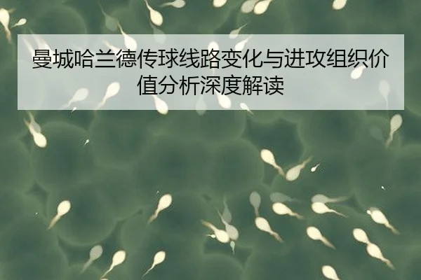 曼城哈兰德传球线路变化与进攻组织价值分析深度解读